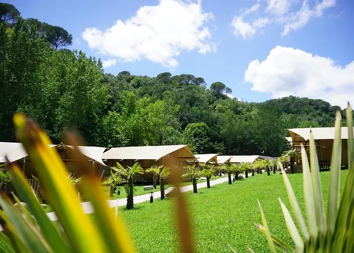 Can Bora Lodges