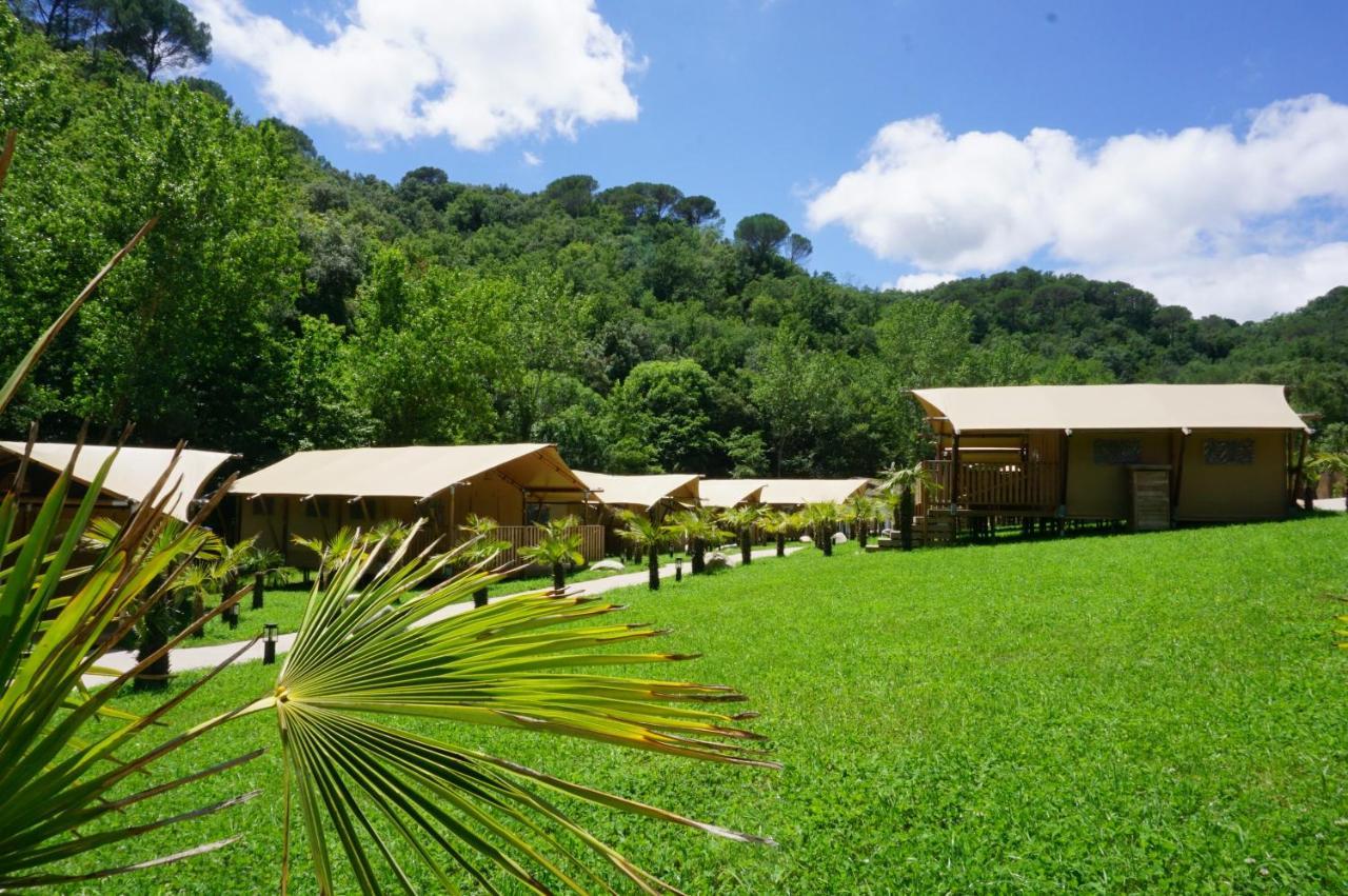 Bora Lodge
