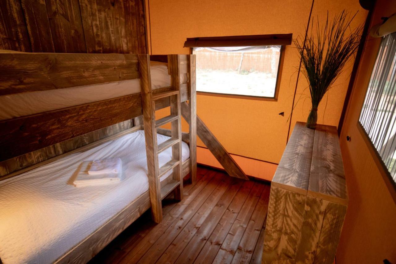 Lodge Bora
