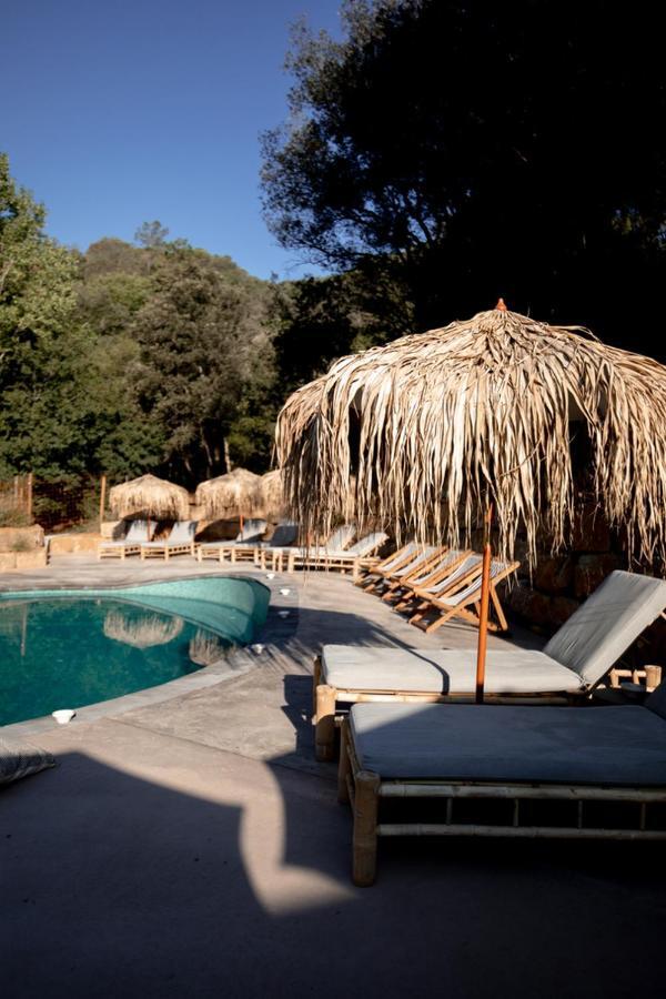 Lodge Bora *